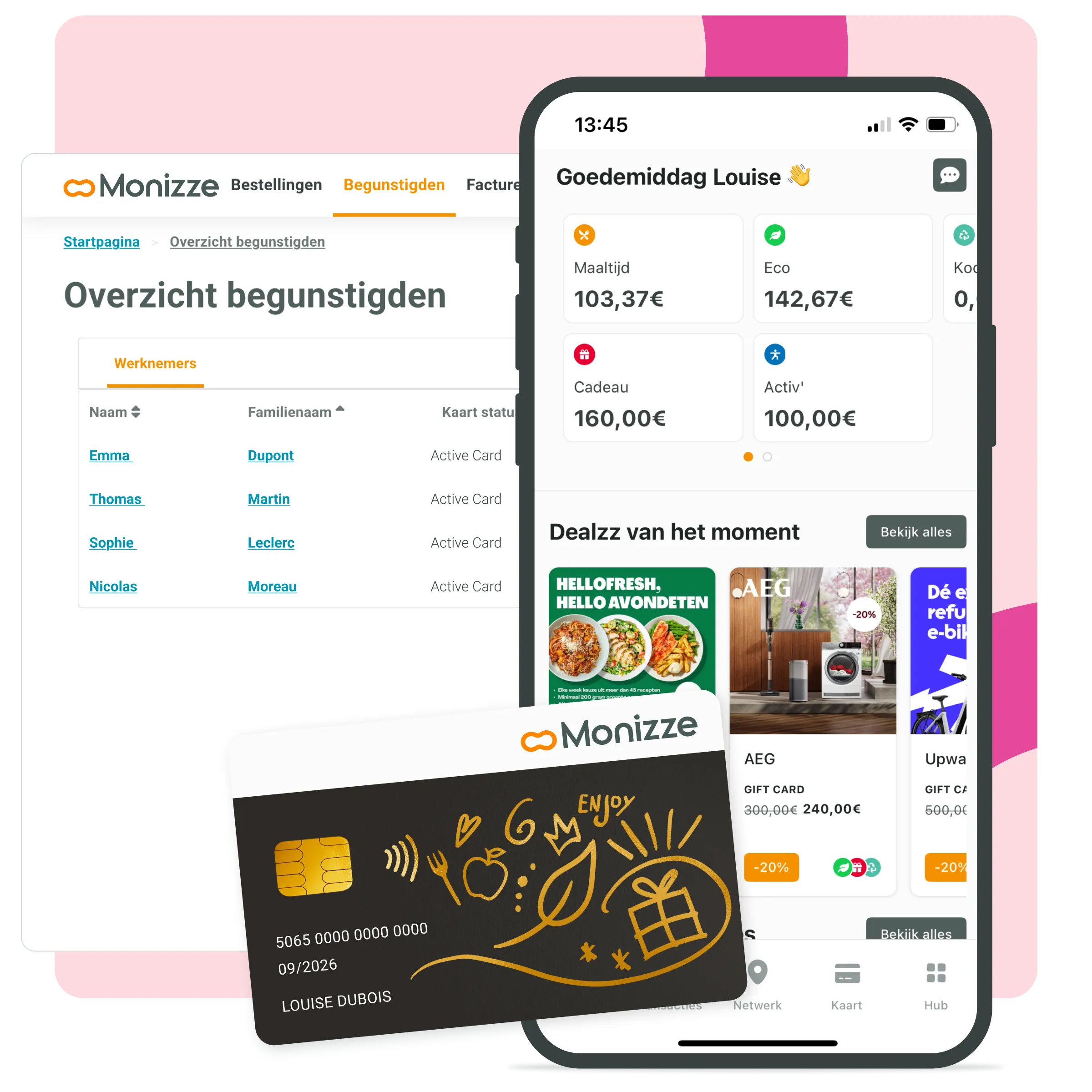 Monizze digitaal platform