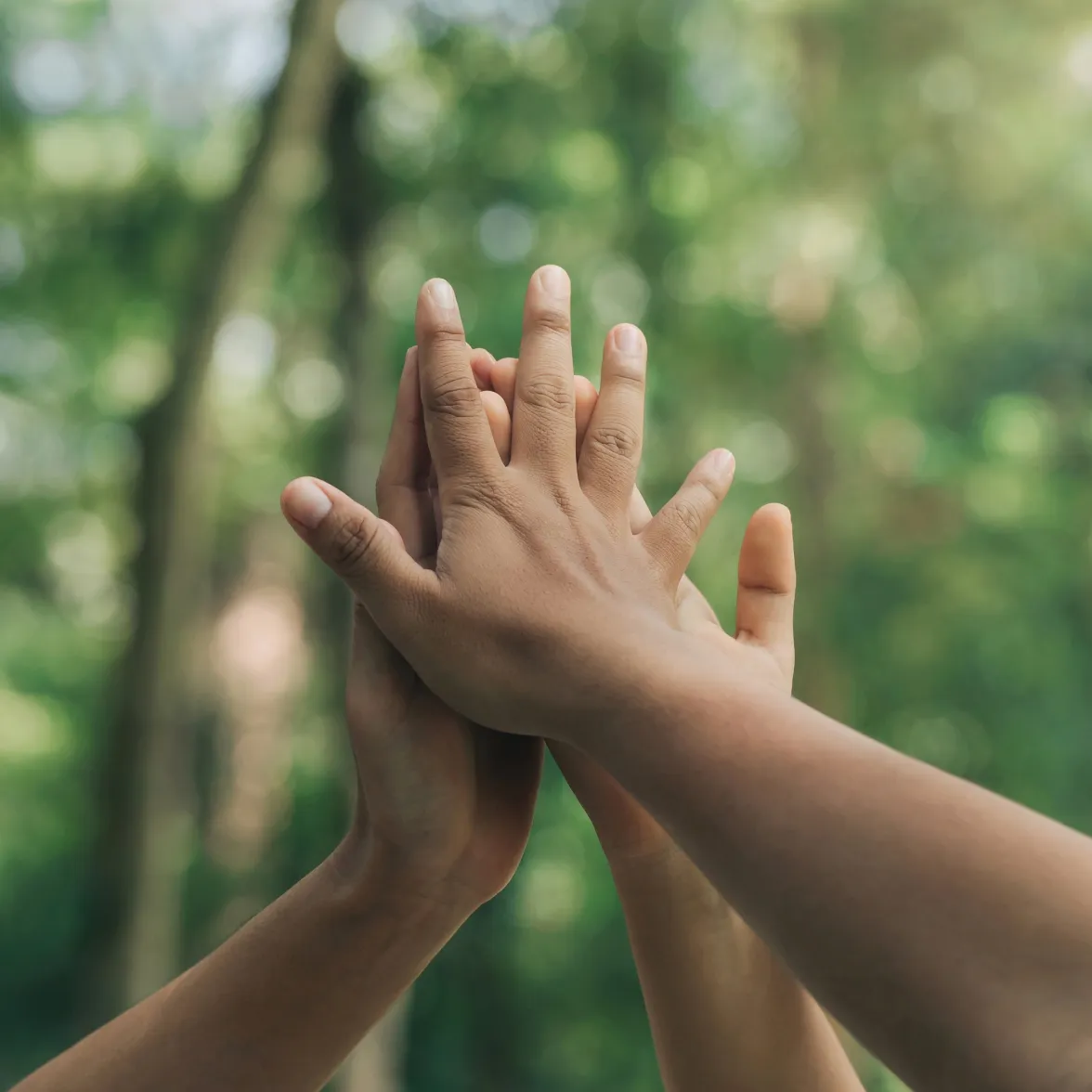 L'équipe Monizze dans les bureaux